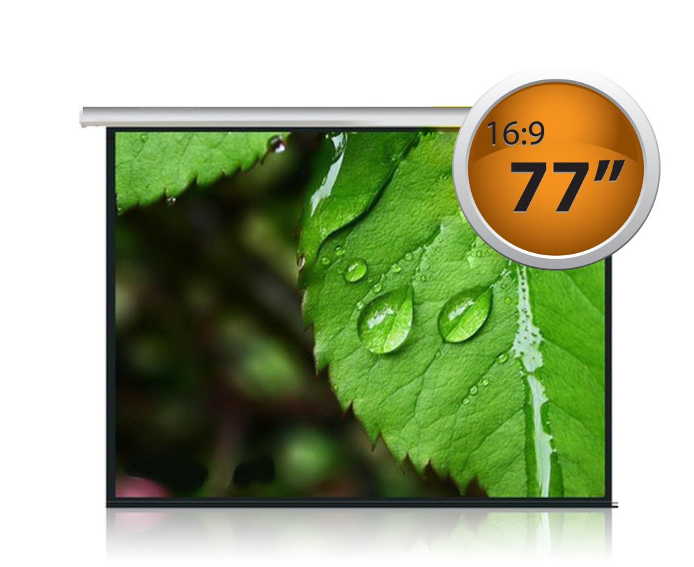 Pantalla para proyector 77"" 16:9 - Image 174
